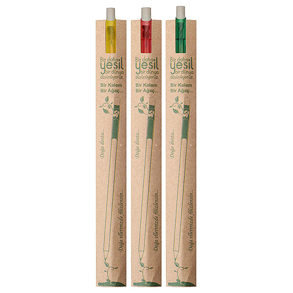 Eco Pencil with Rubber